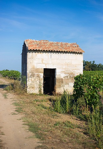 Cabane de vigne crédit David Remazeilles