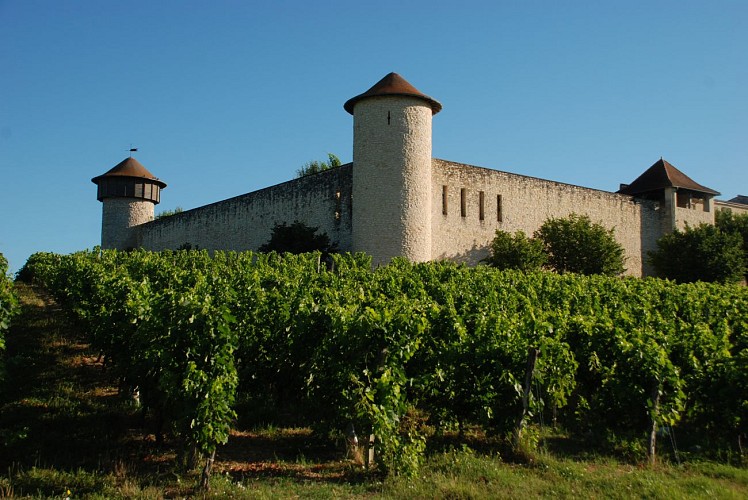 Château Branda Crédit PHRED
