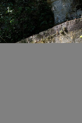 Copie de Zone Natura 2000 chauves souris