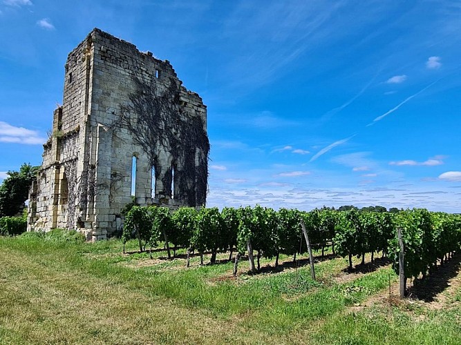 Notre de Dame de Queynac crédit OT du Fronsadais