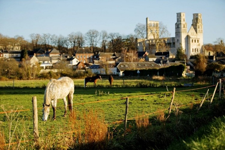 Abbaye de Jumièges