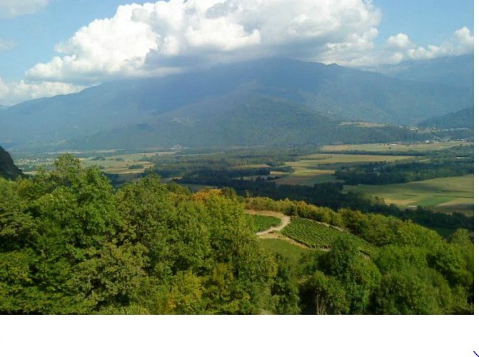 Circuit "Mont Benoit" via "la Barme"