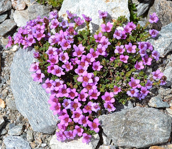 Col du Potat par le Frêne