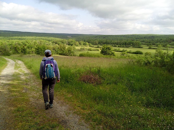 En chemin sur les causses du Quercy