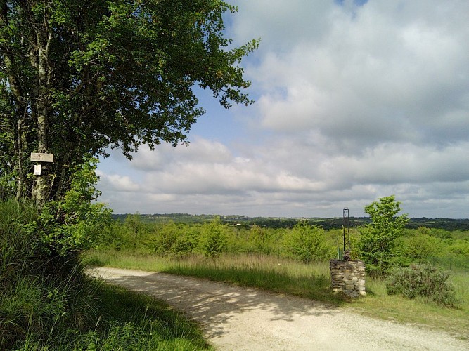 A la croisée de chemins