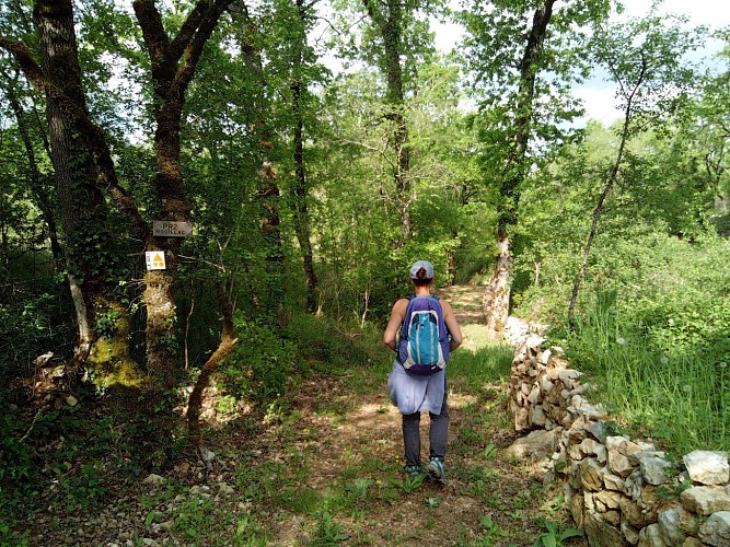 Chemin bordés du murets en pierre