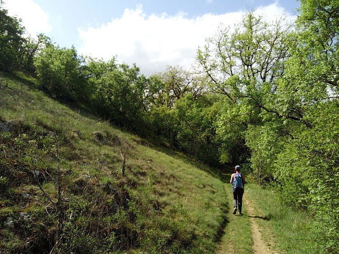 En chemin sur le Causse