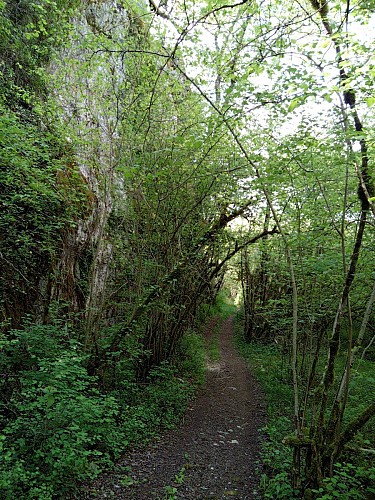 Falaise au bord la Lère morte