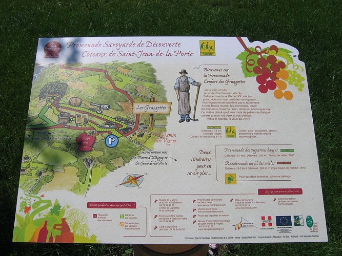 Easy-going walk: Vineyard hillsides