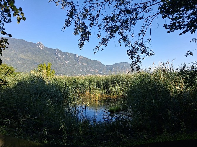 Promenade confort Les Mottets_Viviers-du-Lac