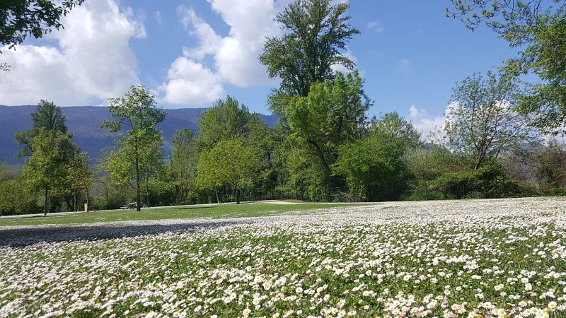 Promenade confort Les Mottets_Viviers-du-Lac