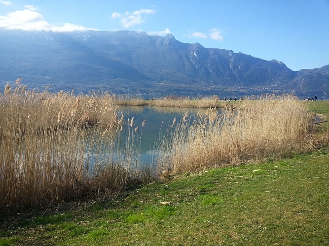Promenade confort : Chemin lacustre