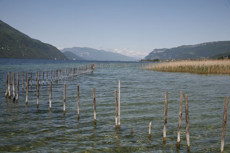 vue sur le lac