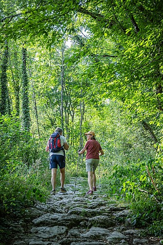 Hiking route : the routes of the Epine_Aiguebelette-le-Lac