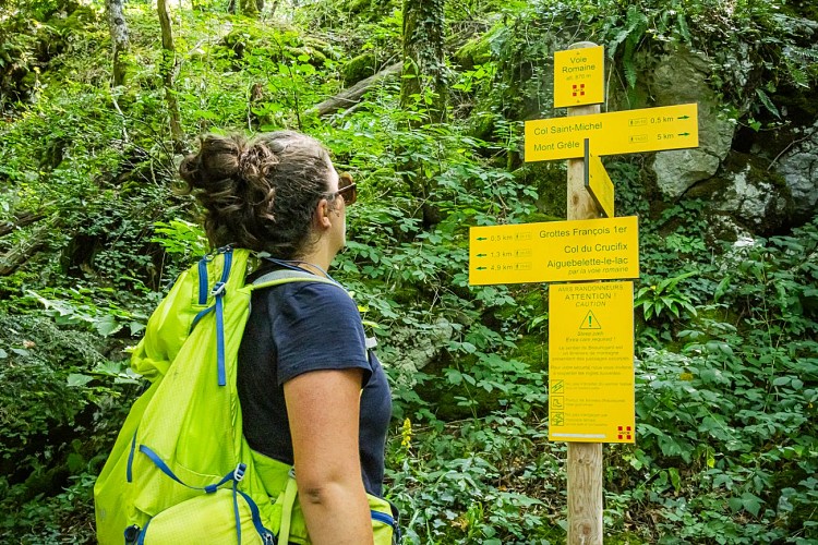 Les voies de l'Épine randonnée à Aiguebelette-le-Lac