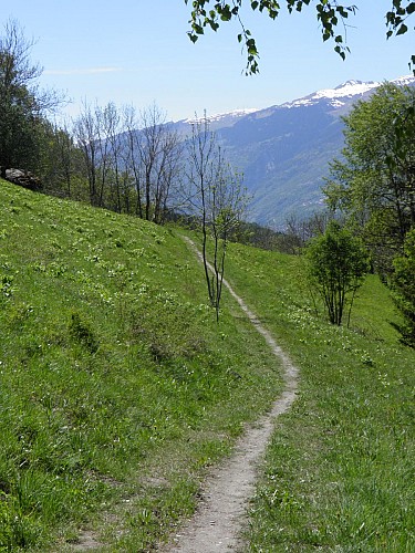 Children's hiking : The Chemin de la Pierra