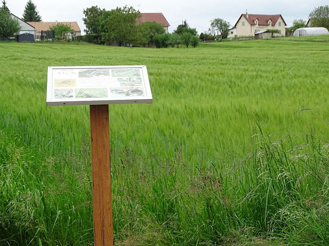 Panneau pédagogique