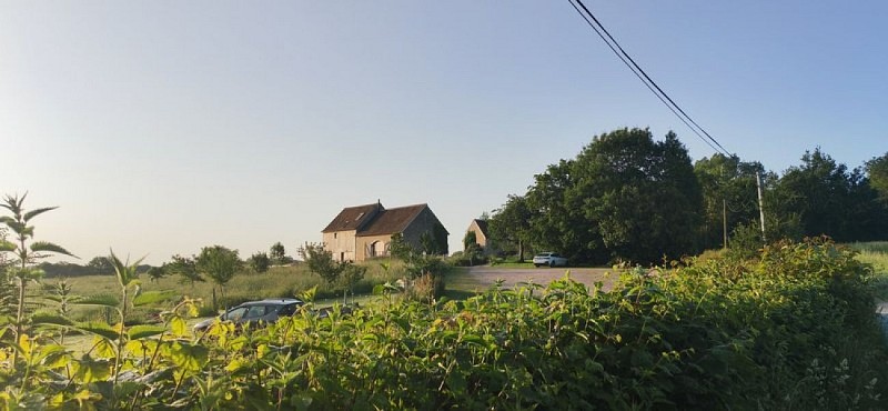 La forêt de Hallais