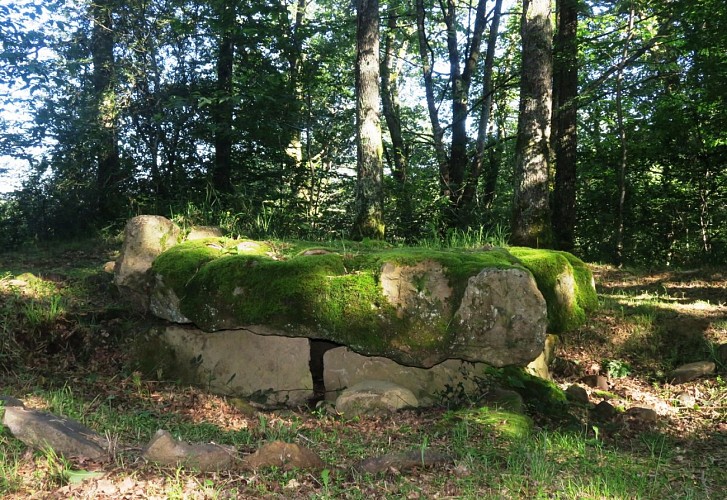 N°85 Trail Bois de Goès-Précilhon