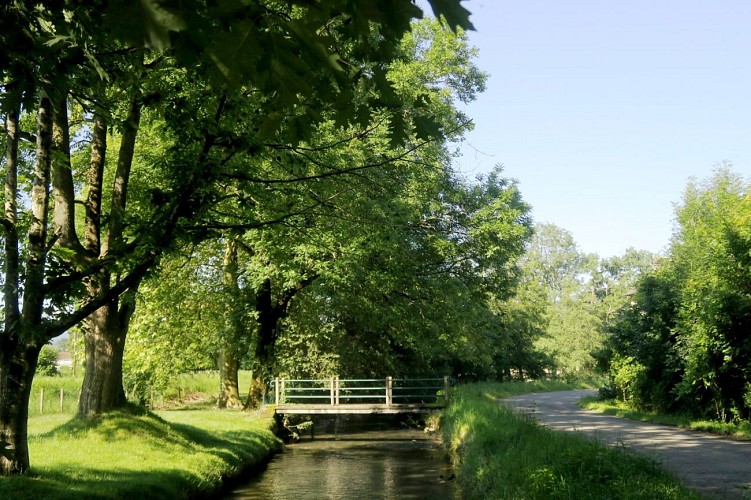 N°85 Trail Bois de Goès-Précilhon