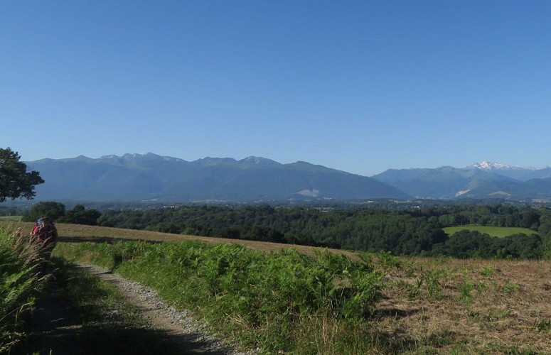 N°85 Trail Bois de Goès-Précilhon