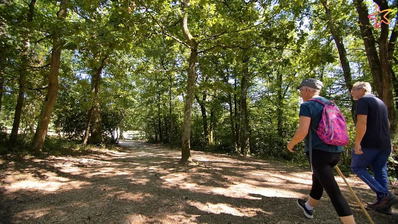 master floirac burthe 1920x1080-25p.mp4.00_01_13_21.Still004 (1)