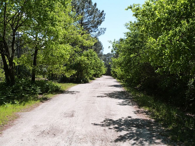 Lac de la Magdeleine (3)