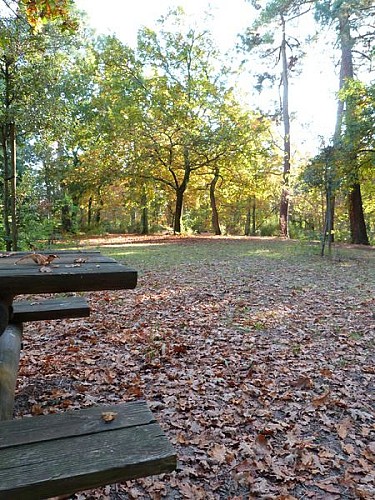 P1120747--800x600--2