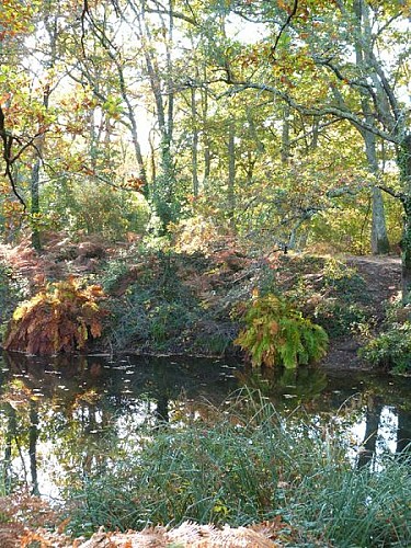 P1120792--800x600--3