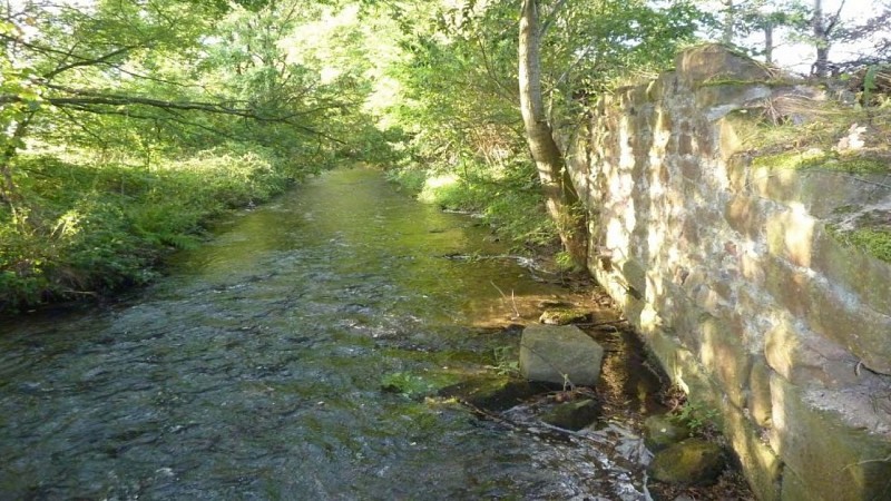 Vestiges du moulin du bas (rive droite) à MEYENHEIM