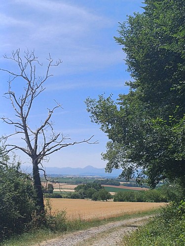 In the footsteps of Adélaïde d'Orléans_Randan