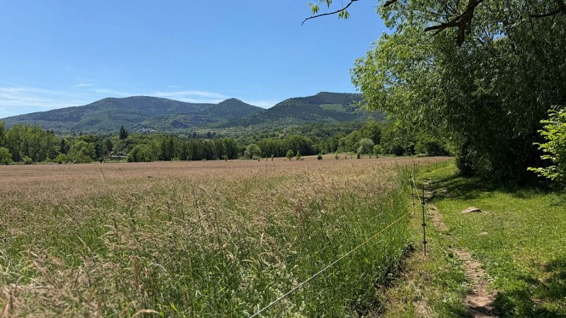 La vue sur le Mont Sainte-Odile