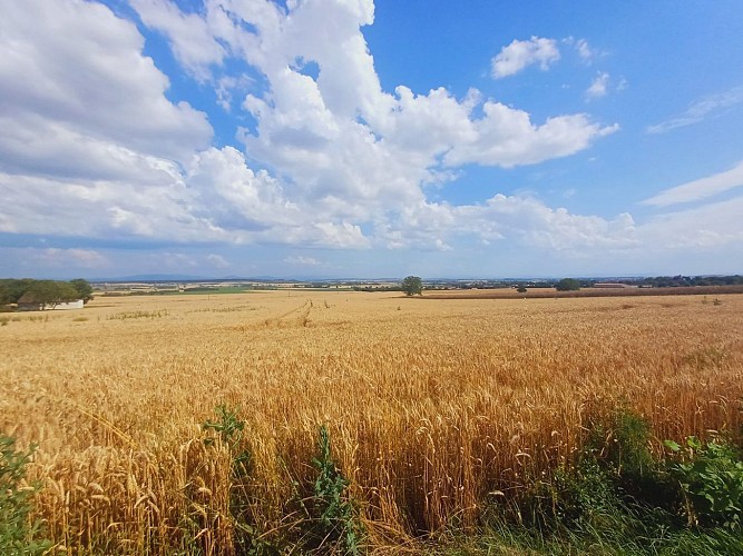 Sur les traces des lavandières_Effiat