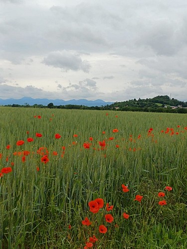 La Butte de Montpensier_Montpensier