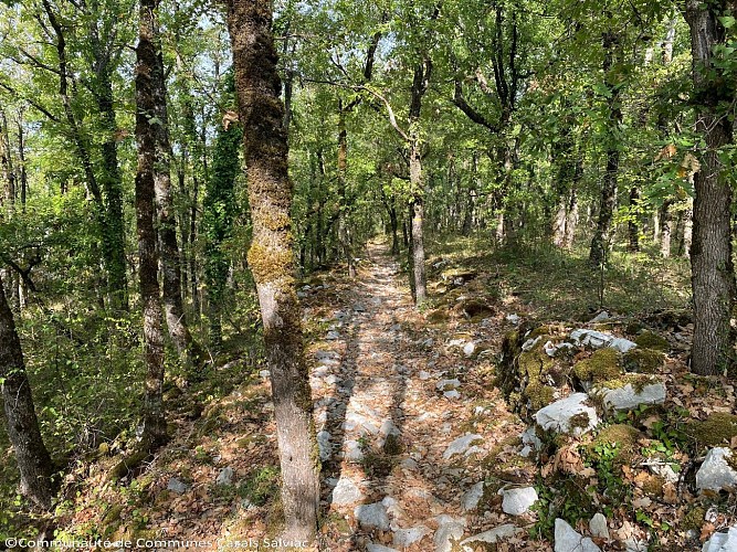 Sentier - Pech Curet
