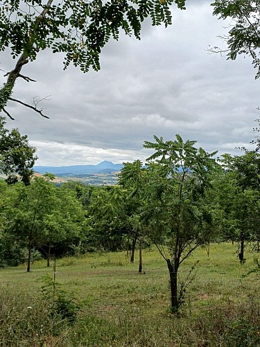 Between Limagne and Combrailles_Saint-Agoulin