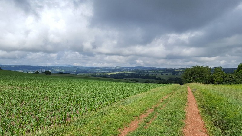 Between Limagne and Combrailles