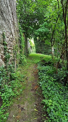 Sentier étroit au départ de la Randonnée Entre Limagne et Combrailles