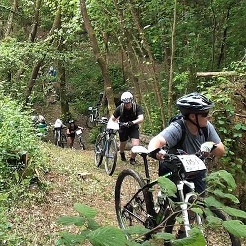 N°18 Rouge: Le grand tour du massif forestier de la forêt de Cardeilhac