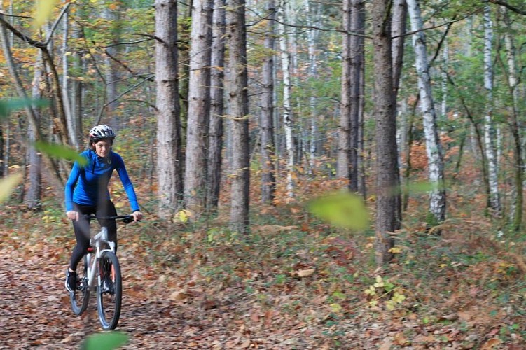 N°18 Rouge: Le grand tour du massif forestier de Cardeilhac