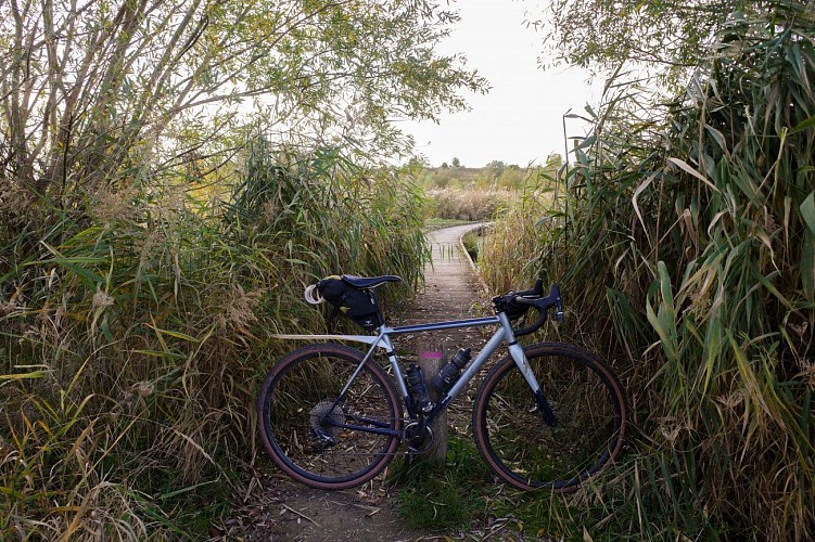 Entre eau et forêt - Boucle Gravel Grand Paris Sud #1