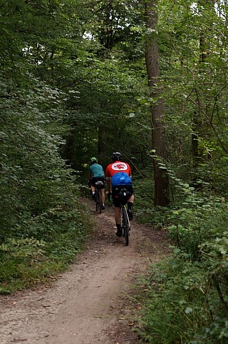 Entre eau et forêt - Boucle Gravel Grand Paris Sud #1