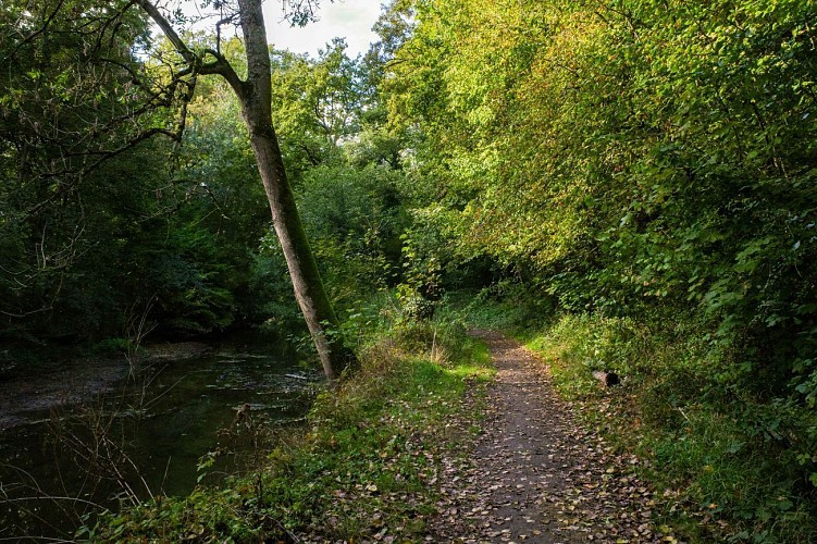 Entre eau et forêt - Boucle Gravel Grand Paris Sud #1