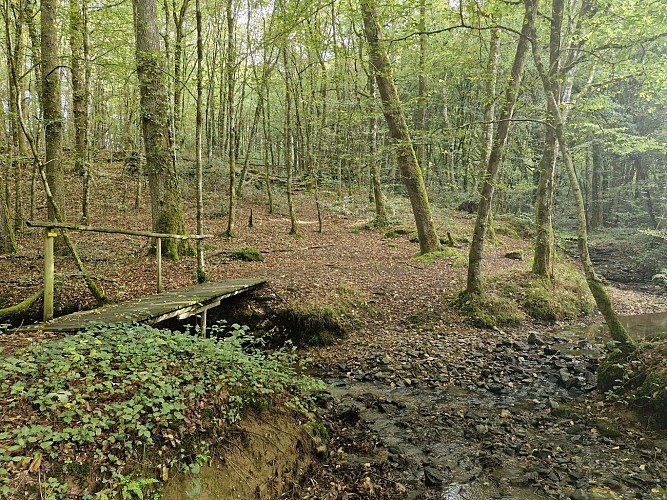 Racourci 12km la Chapelle Anty - Lubersac
