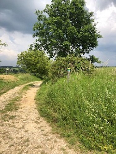 image11