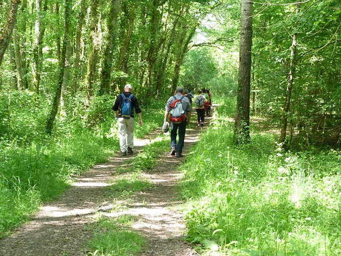 Randonneurs-en-Foret