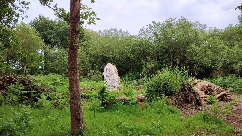 Menhir blanc - Castell ar Jolu - Pierres de Veneven| Lanmeur