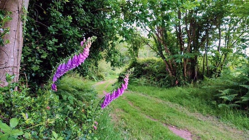 En chemin