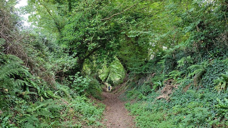 En chemin