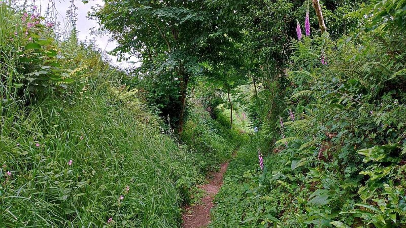 En chemin